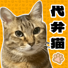 You Cant Go Wrong Letting the Cat Say It