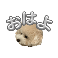 happynail_20251208143720