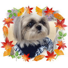 Monariza_20251208155103