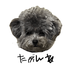 hikari_20251208160052