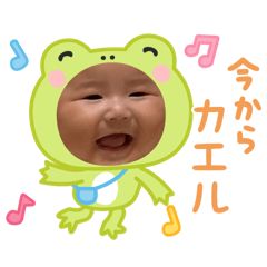 koara_20251208163838