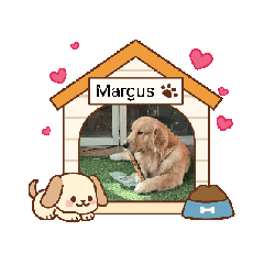 margus_20251208232828