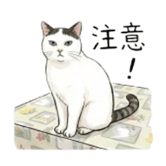 喵喵阿土可愛貼圖