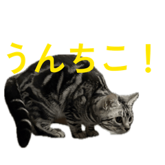 muramayu_20251208164243