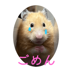 Salad_20251208180329