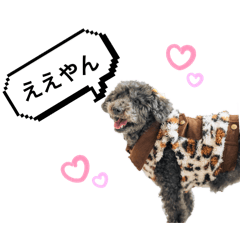 namico_20251208211358