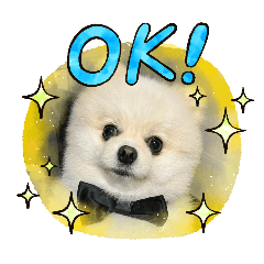 satomin_20251208211641