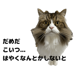 yukio_20251208192925