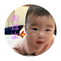 ringo_20251208175030