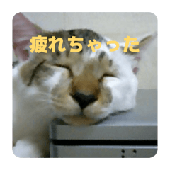 SATOSHI_20251208180236