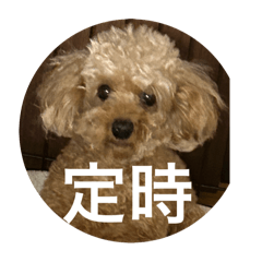 Kazuki_20251208215721