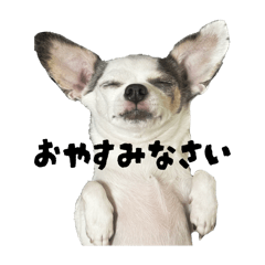 monaka_20251208215449