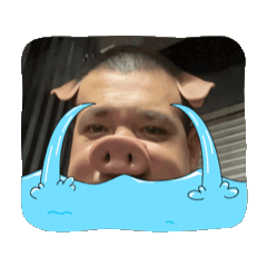 猴子666
