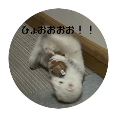 WowWow_20251208220359