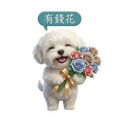 珠揚變色的麻吉