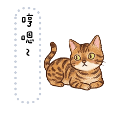 豹貓萌主駕到！