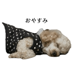 Candy_20251208193842