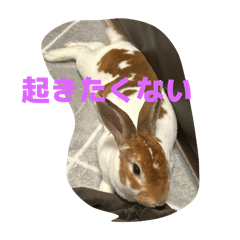 DAICHI_20251208204440