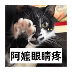 好久ㄅ見