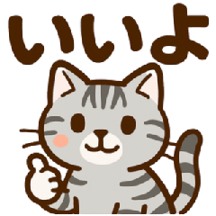 Cute American Shorthair Cat Stickers!