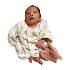 Private Takumi's Hamchan collection