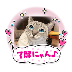 ASUKA_20251208211027