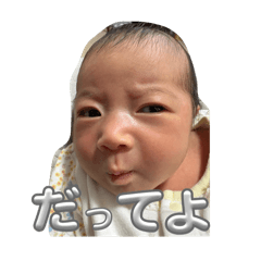 hibipi_20251208230601