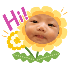 小小酪梨表情包