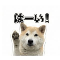 M.Tajima_20251208211700