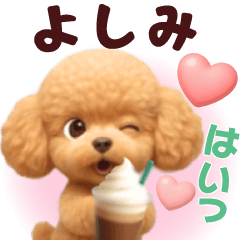 Pretty toy poodle 3D stickers1.1 Yoshimi
