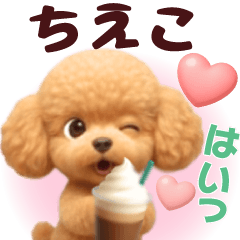 Pretty toy poodle 3D stickers1.1 Chieko