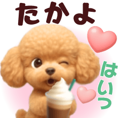 Pretty toy poodle 3D stickers1.1 Takayo
