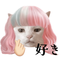 Kotomi_20251208223702