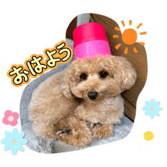 haruna_20251209000235