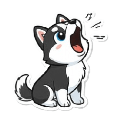 ไซบีเรียนฮัสกี ( Siberian Husky )