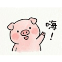 Pinggy豬的日常生活