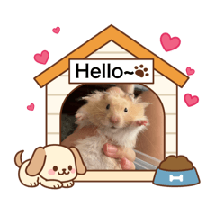 阿萌&球球日常^_^