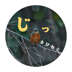 kawasmi_20251208224239