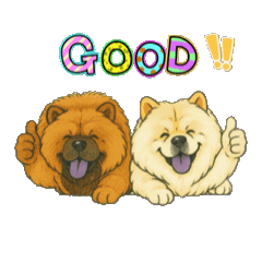 kou11_20251206214501