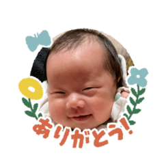 kodai_20251208230817