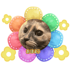 ARISA_20251208233222