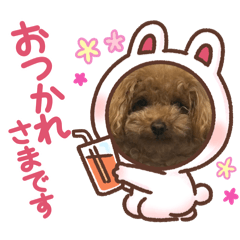 akiko_20251209003536