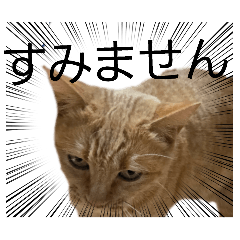 masayoshi_20251209004444