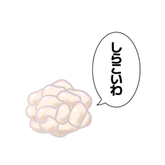 喋る白子