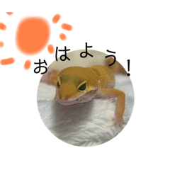 nonono_20251209080607