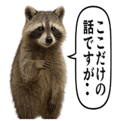 Animal Encyclopedia: Scam Tanuki