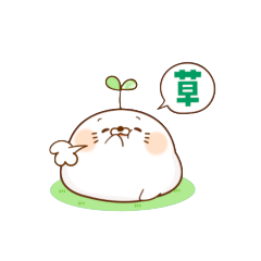 rei_20251209074502