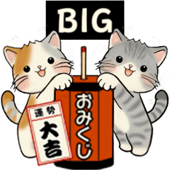 毎年使える年末年始のBigなお便り♡ 猫たち