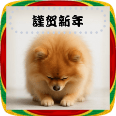 ポメラニアンとお正月！メッセージ自由
