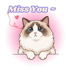 本喵是BoBo：可愛過載中